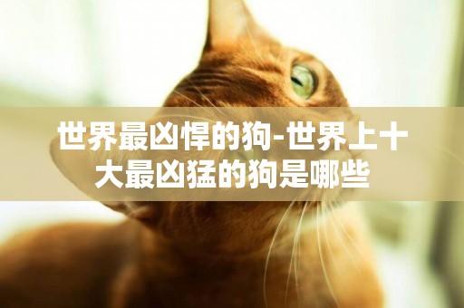 世界最兇悍的狗-世界上十大最兇猛的狗是哪些