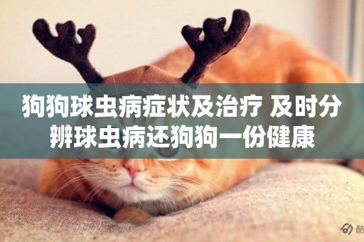 狗狗球蟲病癥狀及治療 及時分辨球蟲病還狗狗一份健康