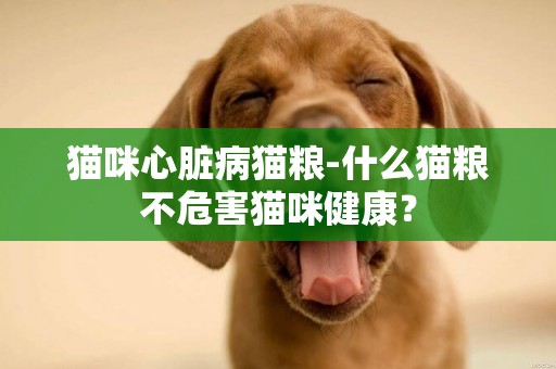 貓咪心臟病貓糧-什么貓糧不危害貓咪健康？
