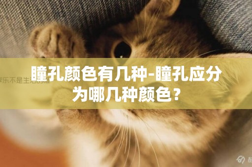 瞳孔顏色有幾種-瞳孔應分為哪幾種顏色？
