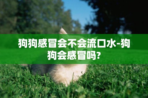狗狗感冒會不會流口水-狗狗會感冒嗎?