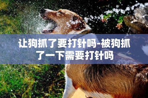 讓狗抓了要打針嗎-被狗抓了一下需要打針嗎