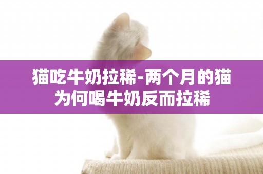 貓吃牛奶拉稀-兩個月的貓為何喝牛奶反而拉稀