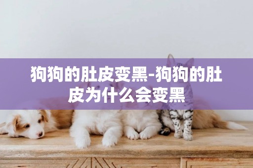 狗狗的肚皮變黑-狗狗的肚皮為什么會變黑