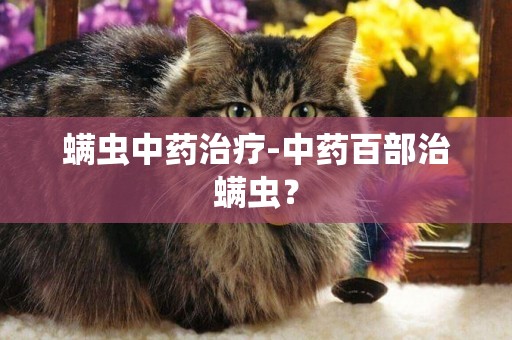 螨蟲中藥治療-中藥百部治螨蟲？
