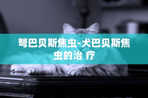 弩巴貝斯焦蟲-犬巴貝斯焦蟲的治 療