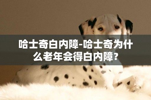 哈士奇白內障-哈士奇為什么老年會得白內障？