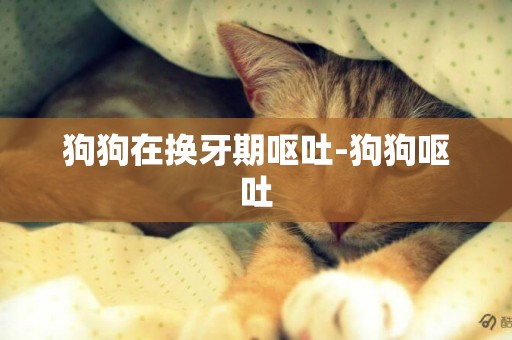 狗狗在換牙期嘔吐-狗狗嘔吐