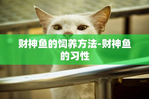財神魚的飼養方法-財神魚的習性