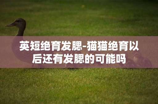 英短絕育發腮-貓貓絕育以后還有發腮的可能嗎