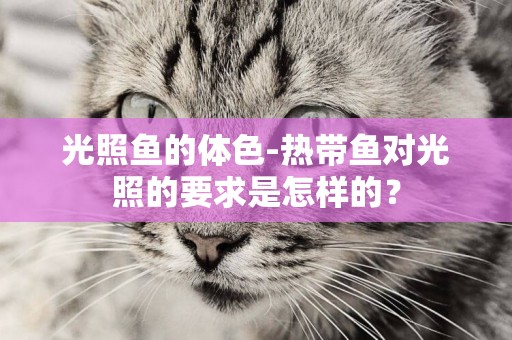 光照魚的體色-熱帶魚對光照的要求是怎樣的？