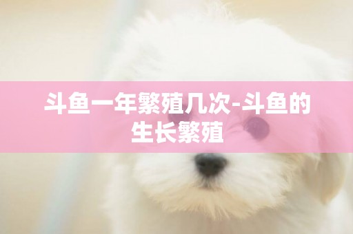斗魚一年繁殖幾次-斗魚的生長繁殖