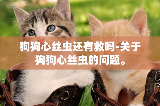 狗狗心絲蟲還有救嗎-關于狗狗心絲蟲的問題。