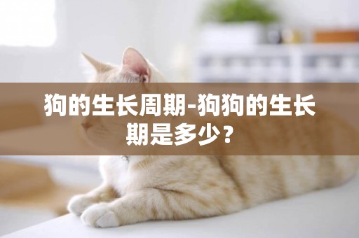 狗的生長周期-狗狗的生長期是多少？