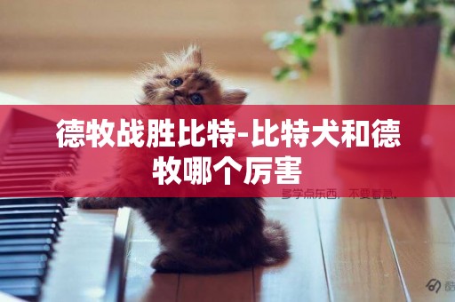 德牧戰勝比特-比特犬和德牧哪個厲害
