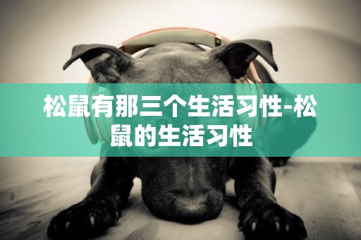 松鼠有那三個生活習性-松鼠的生活習性