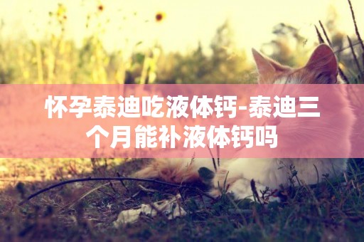 懷孕泰迪吃液體鈣-泰迪三個月能補液體鈣嗎