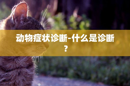 動物癥狀診斷-什么是診斷？