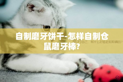 自制磨牙餅干-怎樣自制倉鼠磨牙棒?