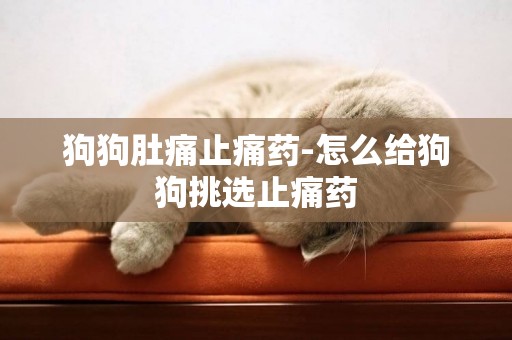 狗狗肚痛止痛藥-怎么給狗狗挑選止痛藥