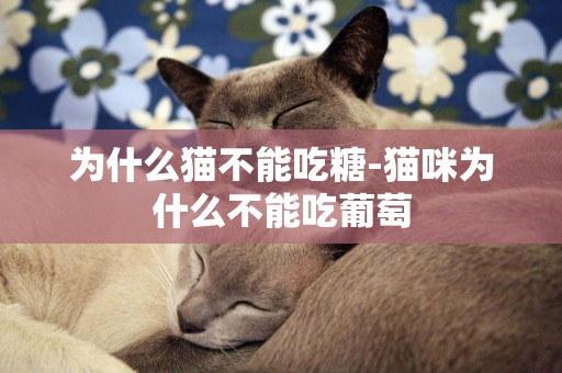 為什么貓不能吃糖-貓咪為什么不能吃葡萄