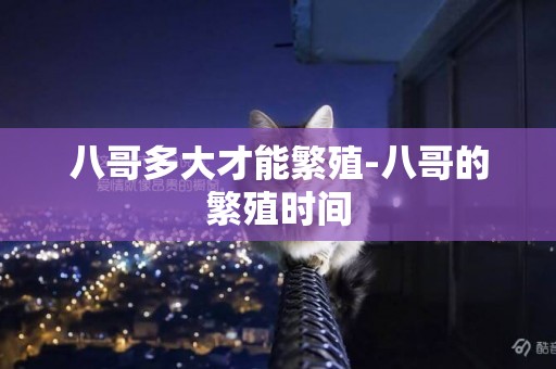 八哥多大才能繁殖-八哥的繁殖時間