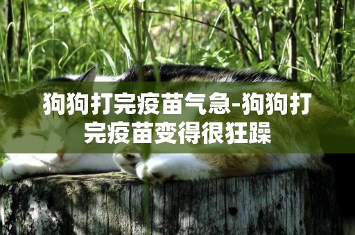 狗狗打完疫苗氣急-狗狗打完疫苗變得很狂躁