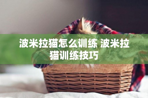 波米拉貓怎么訓練 波米拉貓訓練技巧