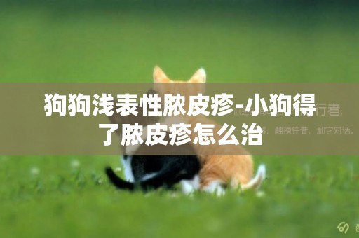 狗狗淺表性膿皮疹-小狗得了膿皮疹怎么治