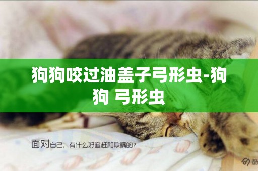 狗狗咬過油蓋子弓形蟲-狗狗 弓形蟲