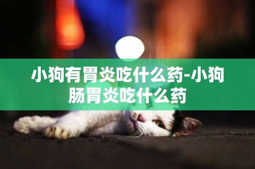 小狗有胃炎吃什么藥-小狗腸胃炎吃什么藥