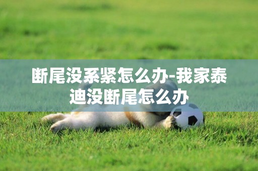 斷尾沒系緊怎么辦-我家泰迪沒斷尾怎么辦