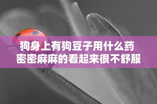 狗身上有狗豆子用什么藥 密密麻麻的看起來很不舒服的