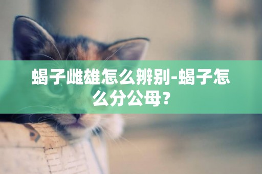 蝎子雌雄怎么辨別-蝎子怎么分公母？