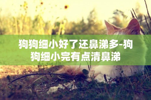狗狗細小好了還鼻涕多-狗狗細小完有點清鼻涕
