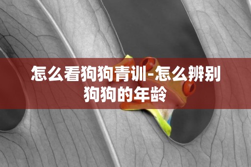 怎么看狗狗青訓-怎么辨別狗狗的年齡