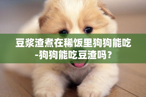 豆漿渣煮在稀飯里狗狗能吃-狗狗能吃豆渣嗎？