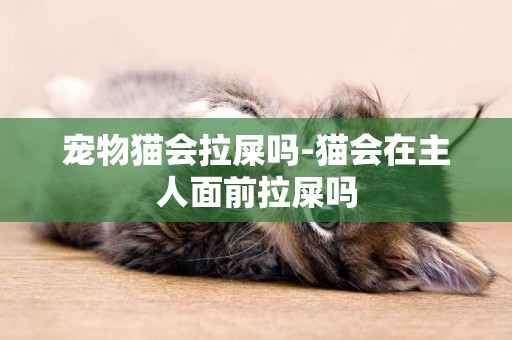 寵物貓會拉屎嗎-貓會在主人面前拉屎嗎