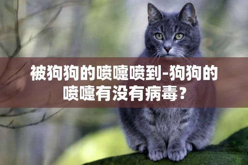 被狗狗的噴嚏噴到-狗狗的噴嚏有沒有病毒？