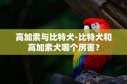 高加索與比特犬-比特犬和高加索犬哪個厲害？
