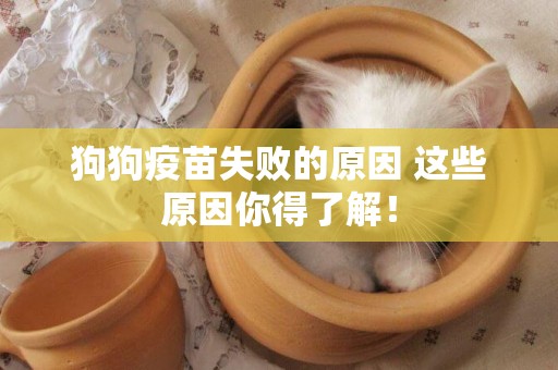狗狗疫苗失敗的原因 這些原因你得了解！