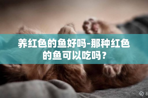 養紅色的魚好嗎-那種紅色的魚可以吃嗎？