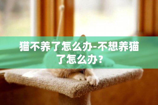 貓不養了怎么辦-不想養貓了怎么辦？