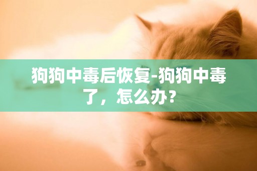狗狗中毒后恢復-狗狗中毒了，怎么辦？