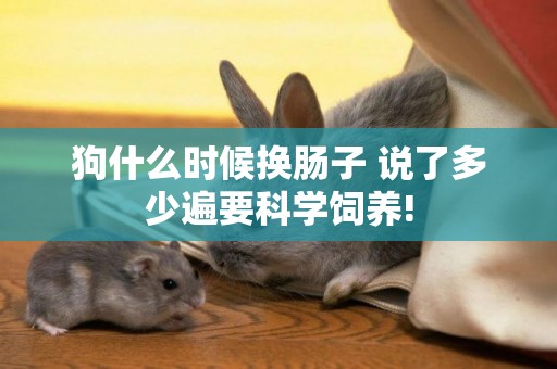 狗什么時候換腸子 說了多少遍要科學飼養!