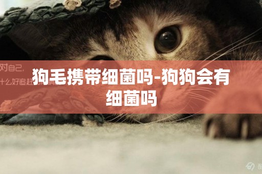 狗毛攜帶細菌嗎-狗狗會有細菌嗎