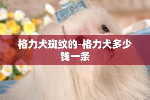 格力犬斑紋的-格力犬多少錢一條