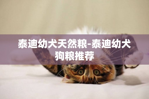 泰迪幼犬天然糧-泰迪幼犬狗糧推薦