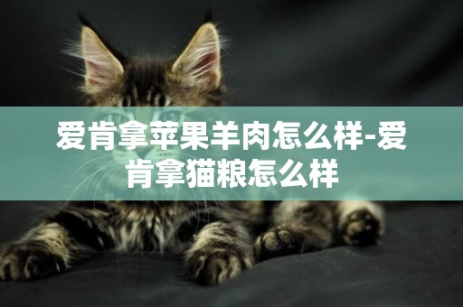 愛肯拿蘋果羊肉怎么樣-愛肯拿貓糧怎么樣