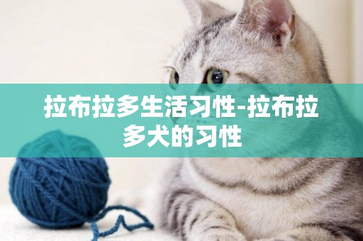 拉布拉多生活習性-拉布拉多犬的習性
